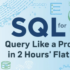 SQL for Beginners Query Like a Pro in 2 Hours Flat