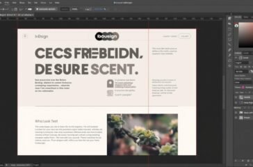 Adobe InDesign Review